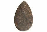 Chondrite Meteorite Cabochon ( g) - Meteorite #238190-1